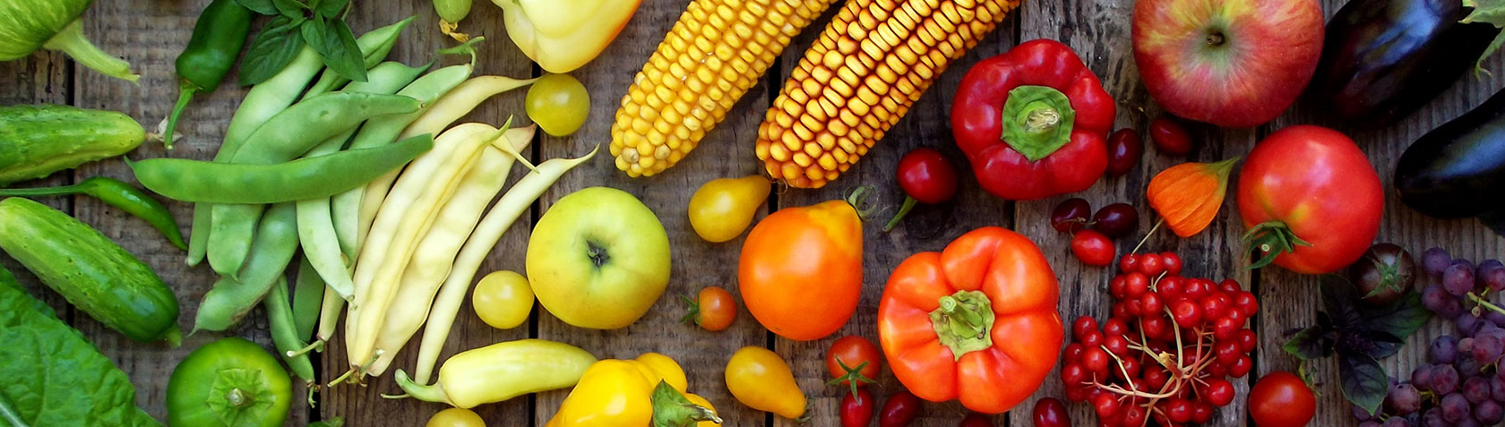 gagner de largent en ligne immédiatement gagner de largent en ligne immédiatement