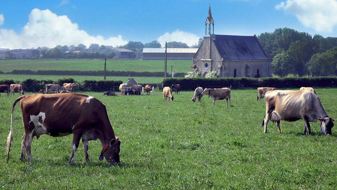 La terre libère ses saveurs gallerie 1