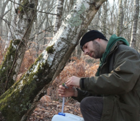 Producteur Un grand et magnifique domaine situé près de la forêt de Fontainebleau image