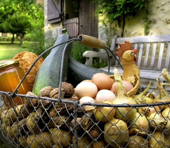Producteur bio Chartres 