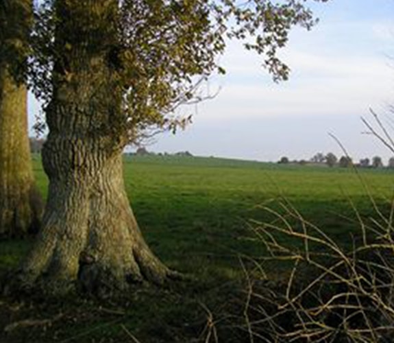 Producteur bio La Chapelle-sur-Erdre 