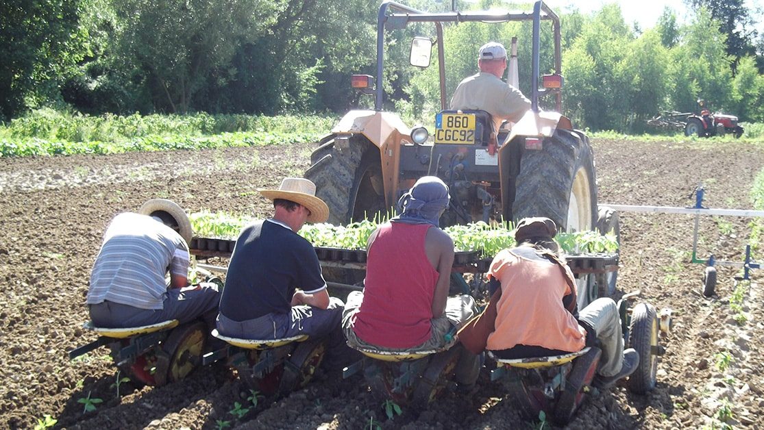 La Vie en Herbes, des tisanes pas comme les autres gallerie 1