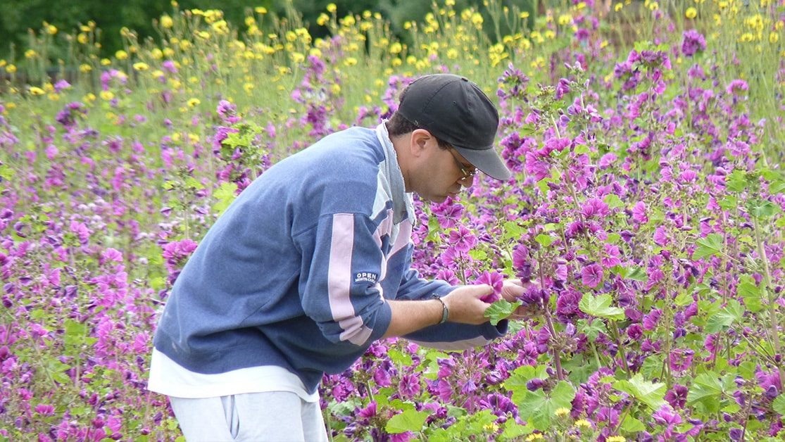 La Vie en Herbes, des tisanes pas comme les autres gallerie 2