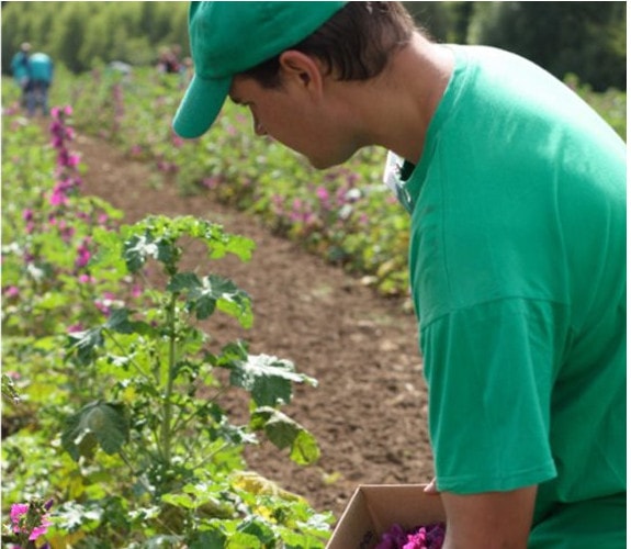 Producteur bio Vert-Saint-Denis 