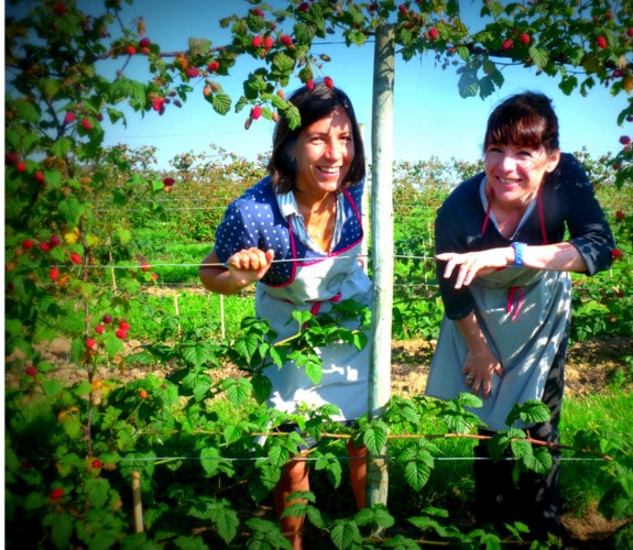 Producteur bio La Chapelle-sur-Erdre 