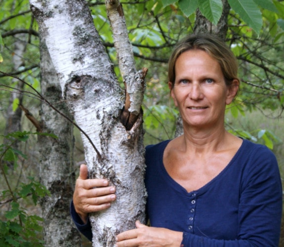 Producteur La sève de bouleau bio 100 % naturelle image