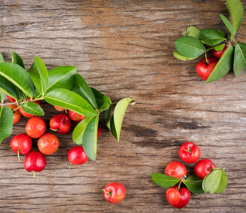 Acerola