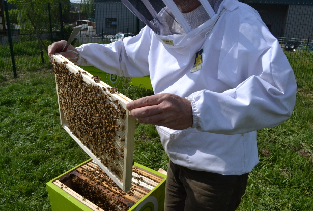 Découverte de l’apiculture au naturéO Dourdan