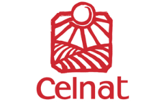 Celnat