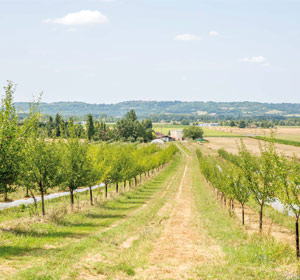 La marque naturéO 