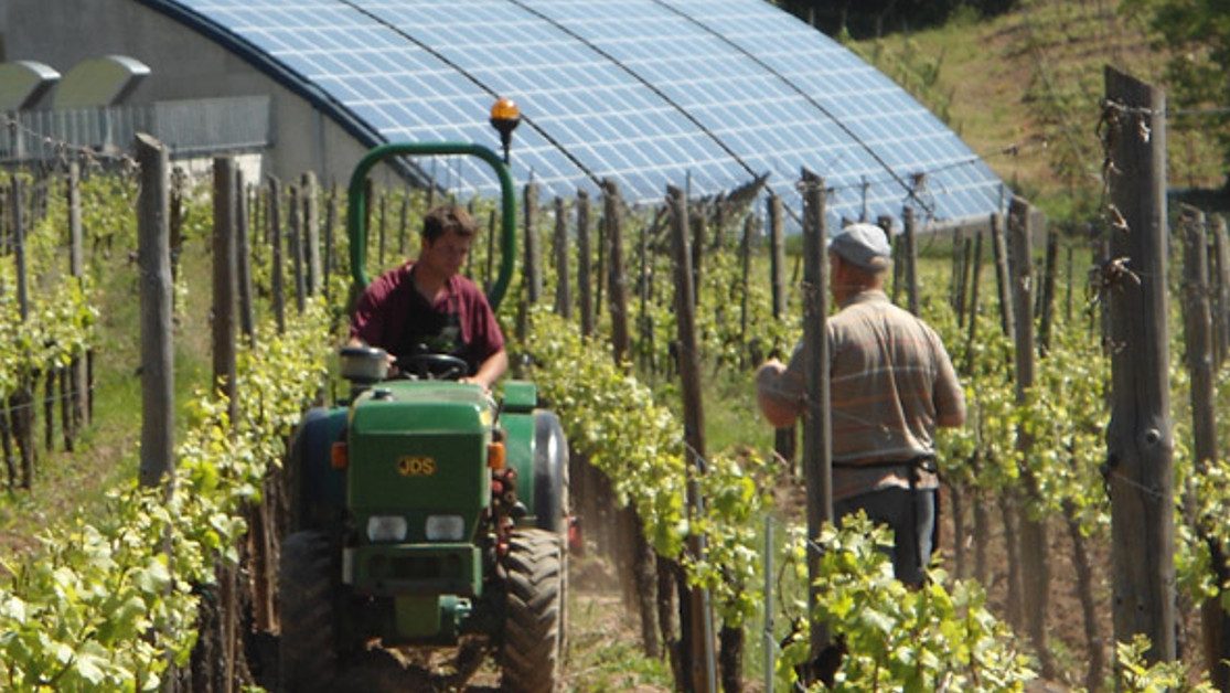 Des vins et des crémants de qualité Bio gallerie 2