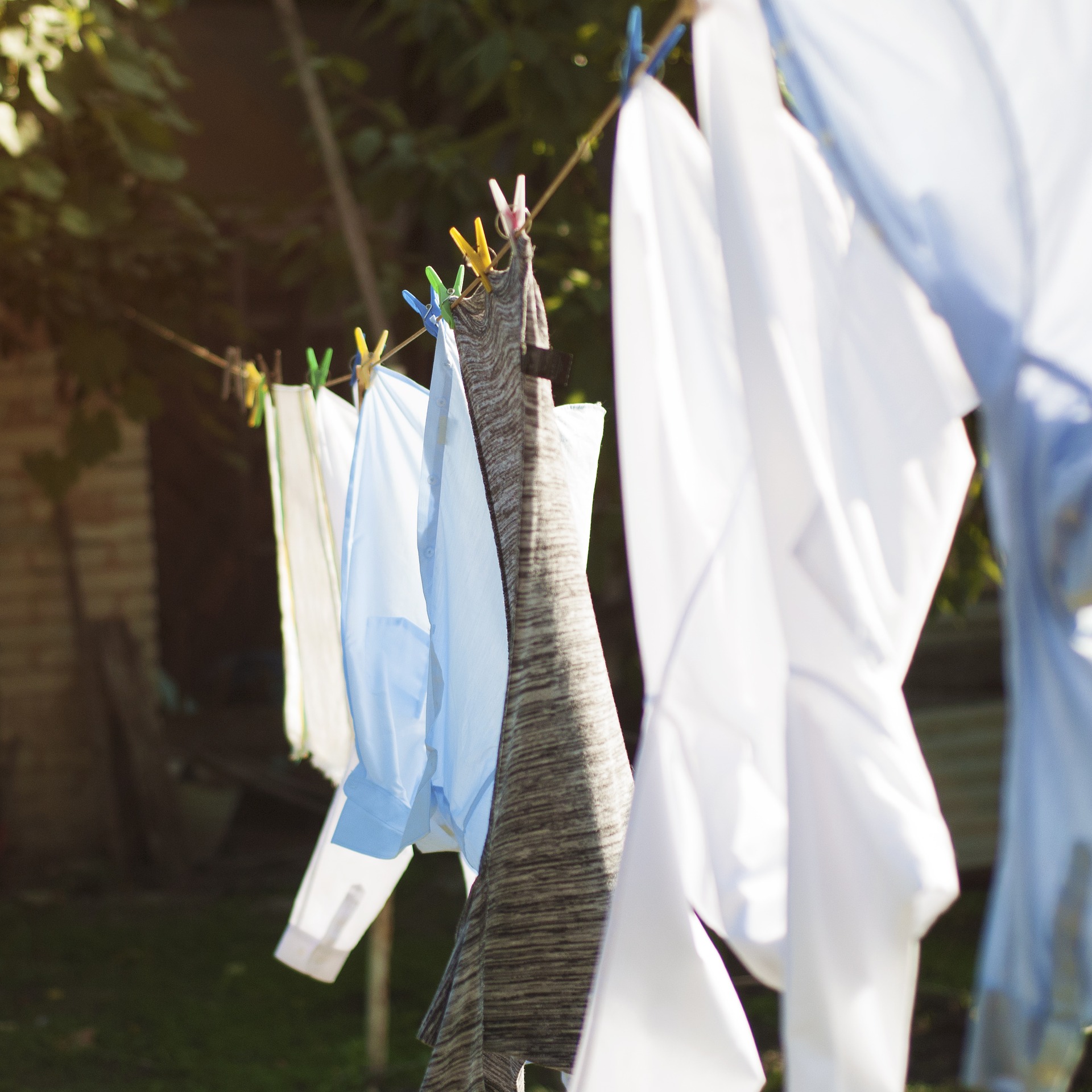 Atelier DIY : Réaliser sa lessive écolo