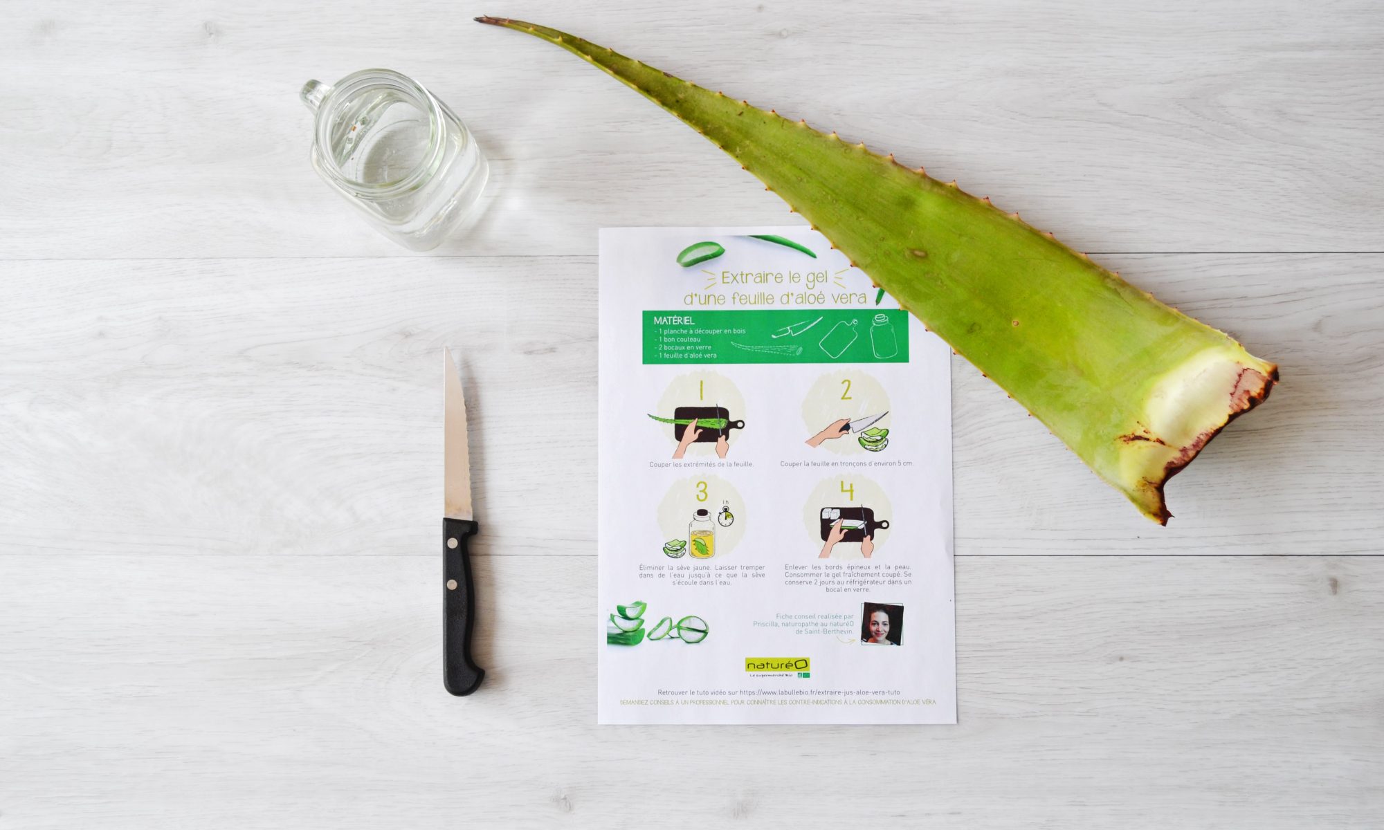 Atelier extraction gel d'une feuille d'aloe vera