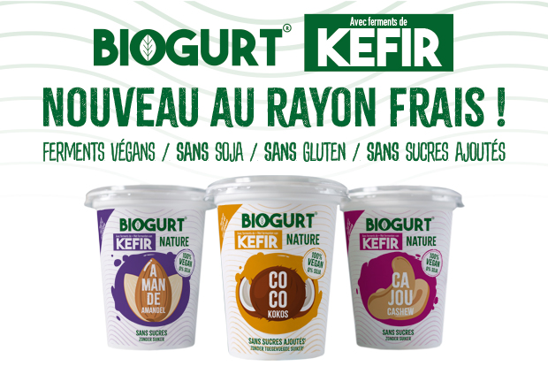 Kéfir Végétal (Ferments Bio pour fabrication)